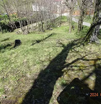 Foto annuncio 3