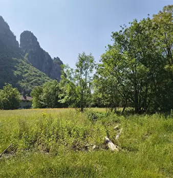 Foto annuncio 2