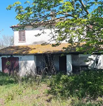 Foto annuncio 9