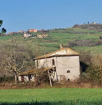 Foto annuncio 8