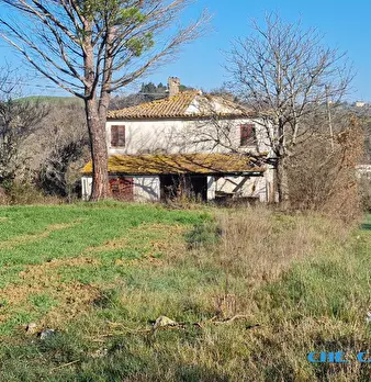 Foto annuncio 1