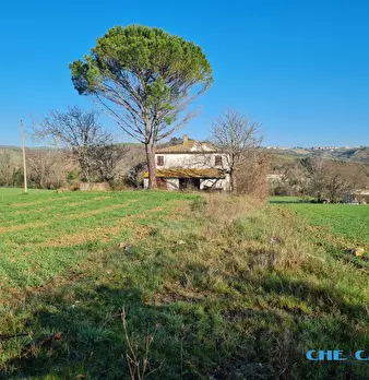 Foto annuncio 10