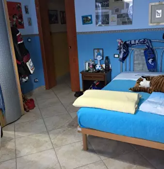 Foto annuncio 8