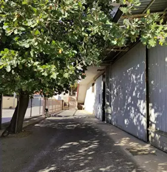 Foto annuncio 5