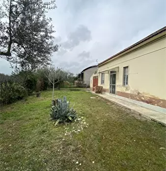 Foto annuncio 8