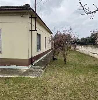 Foto annuncio 7