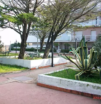 Foto annuncio 10
