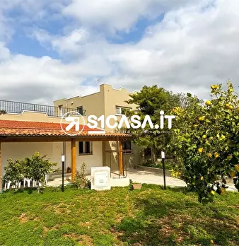 Foto annuncio 8
