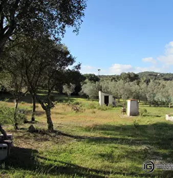 Foto annuncio 8