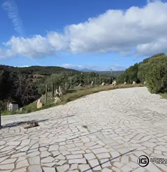 Foto annuncio 10