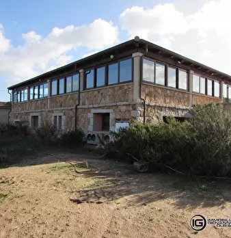 Foto annuncio 7