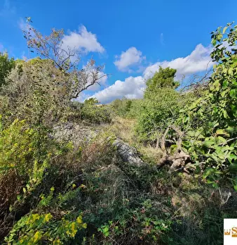 Foto annuncio 9