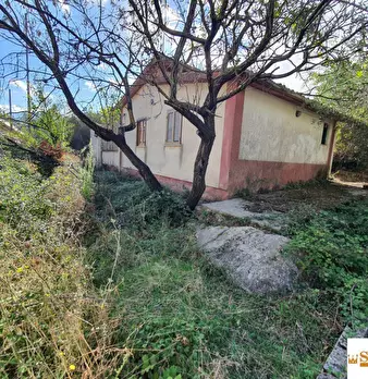 Foto annuncio 1