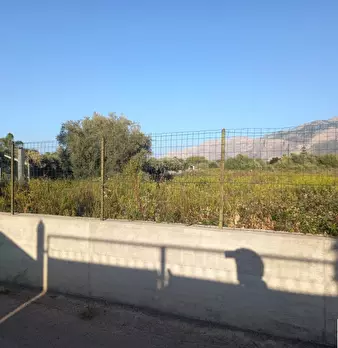 Foto annuncio 4