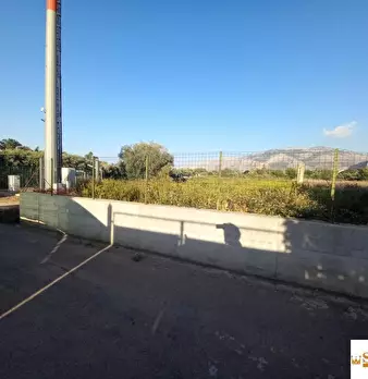 Foto annuncio 6