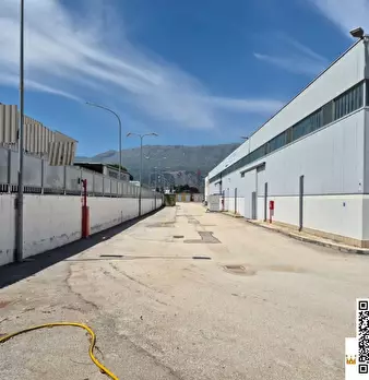 Foto annuncio 7