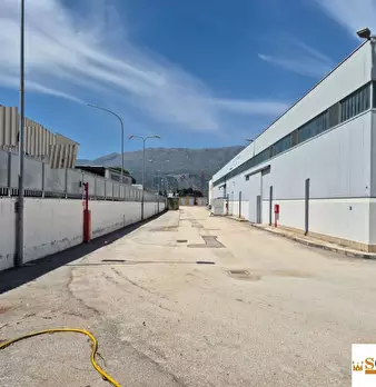 Foto annuncio 6