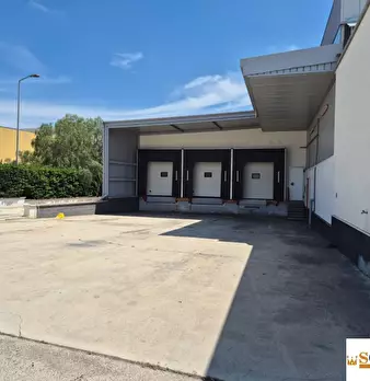 Foto annuncio 7