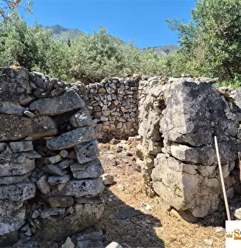 Foto annuncio 10