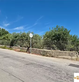 Foto annuncio 4
