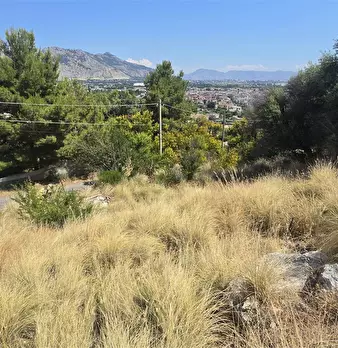 Foto annuncio 6
