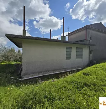 Foto annuncio 5