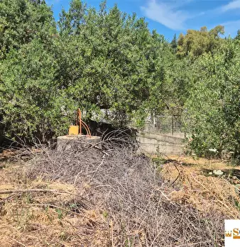 Foto annuncio 7