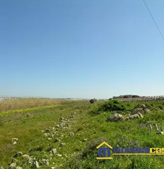 Foto annuncio 4