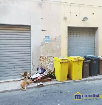 Foto annuncio 1