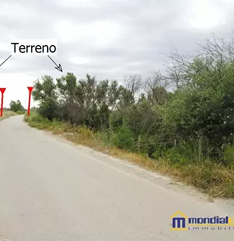 Foto annuncio 1
