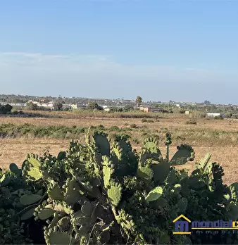 Foto annuncio 3