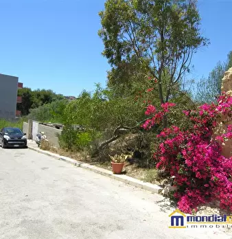 Foto annuncio 3