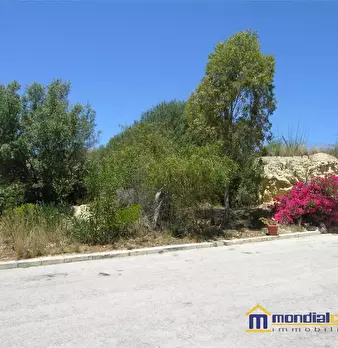 Foto annuncio 2