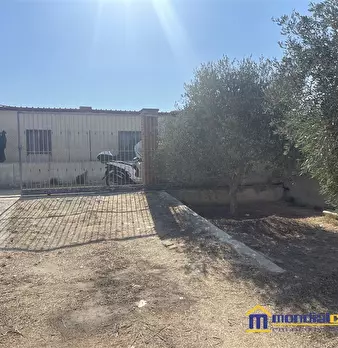 Foto annuncio 5