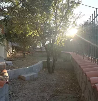 Foto annuncio 5