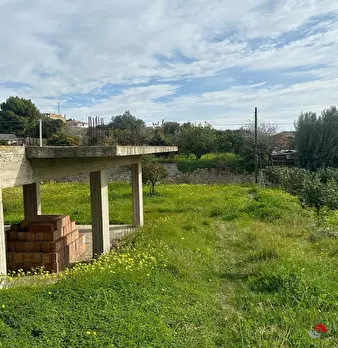 Foto annuncio 4