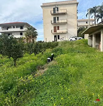 Foto annuncio 8