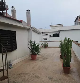 Foto annuncio 10