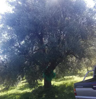 Foto annuncio 3