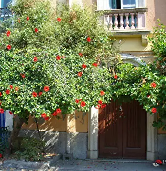 Foto annuncio 1