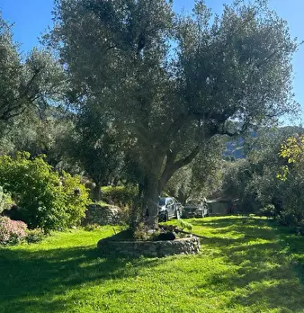 Foto annuncio 4