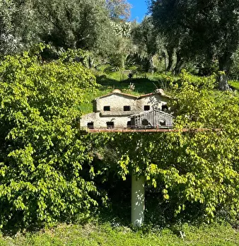 Foto annuncio 8