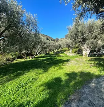 Foto annuncio 7