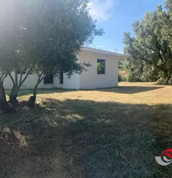 Foto annuncio 6