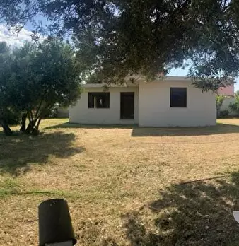 Foto annuncio 7