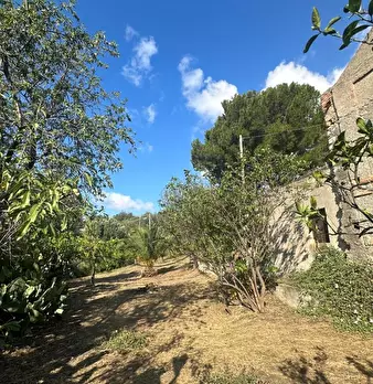 Foto annuncio 4
