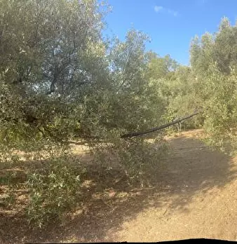 Foto annuncio 5