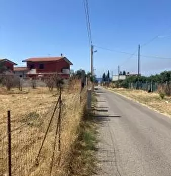 Foto annuncio 2