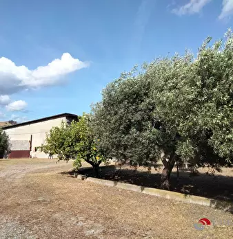 Foto annuncio 5