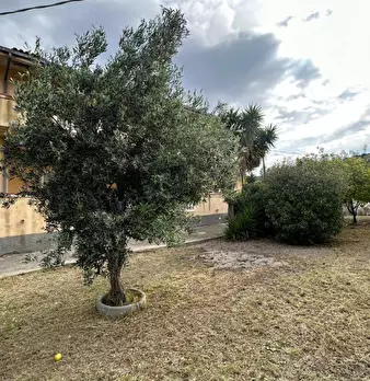 Foto annuncio 8